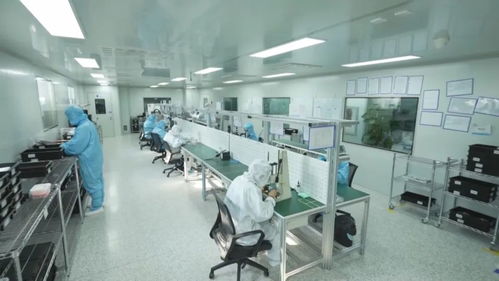 科技強(qiáng)國 創(chuàng)新在吉林發(fā)力，重點產(chǎn)業(yè)科技創(chuàng)新助推創(chuàng)新型省份建設(shè)